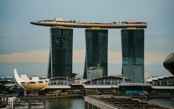 香港寵物友善酒店的深度探究