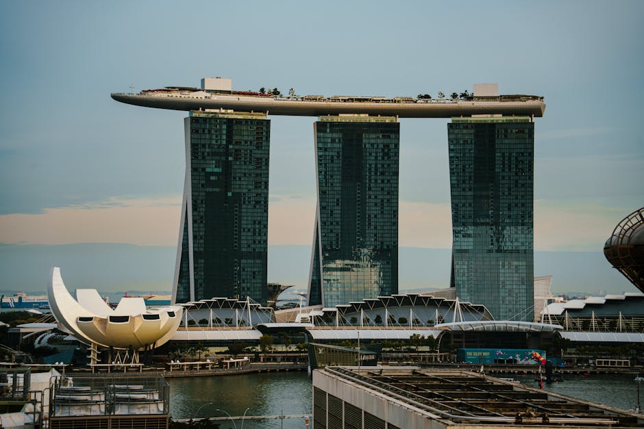 香港寵物友善酒店的深度探究