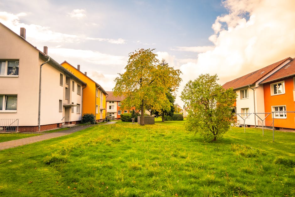 年金的文化意義與歷史概覽