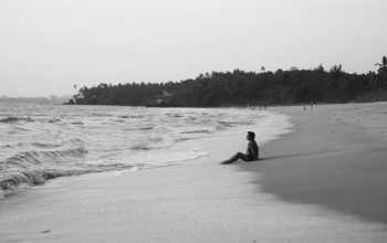 人蔘飲：從傳統智慧到現代健康的熱情探索