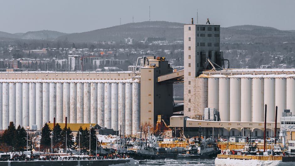 迷你倉：空間管理的全新視野